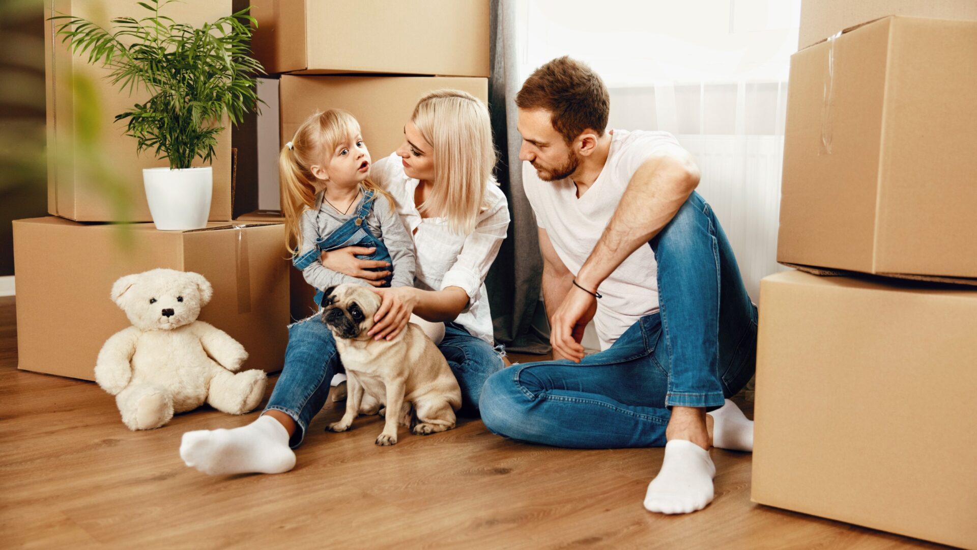 moving with kids and pets